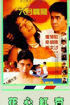 淫臀乱妇系列小说